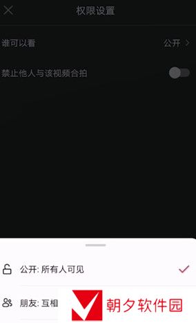 《抖音》发日常一天可见视频查看权限设置教程