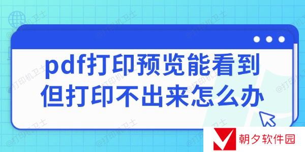 pdf打印预览能看到但打印不出来怎么办 打印PDF的方法